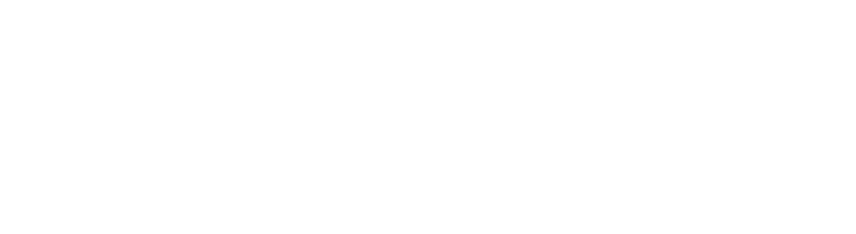 wireframe globe